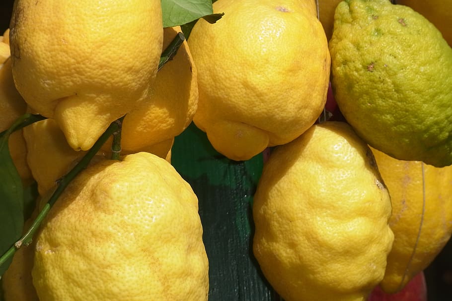 limone, fruit, citrus fruits, vitamins, fruity, lemon, yellow, HD wallpaper