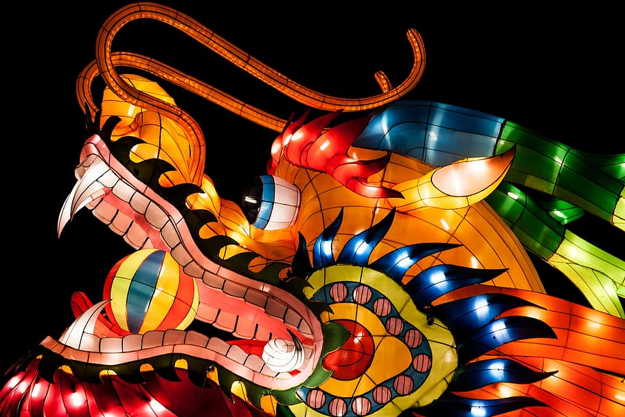 multicolored LED decor, dragon, chinalight, sculpture, art HD wallpaper