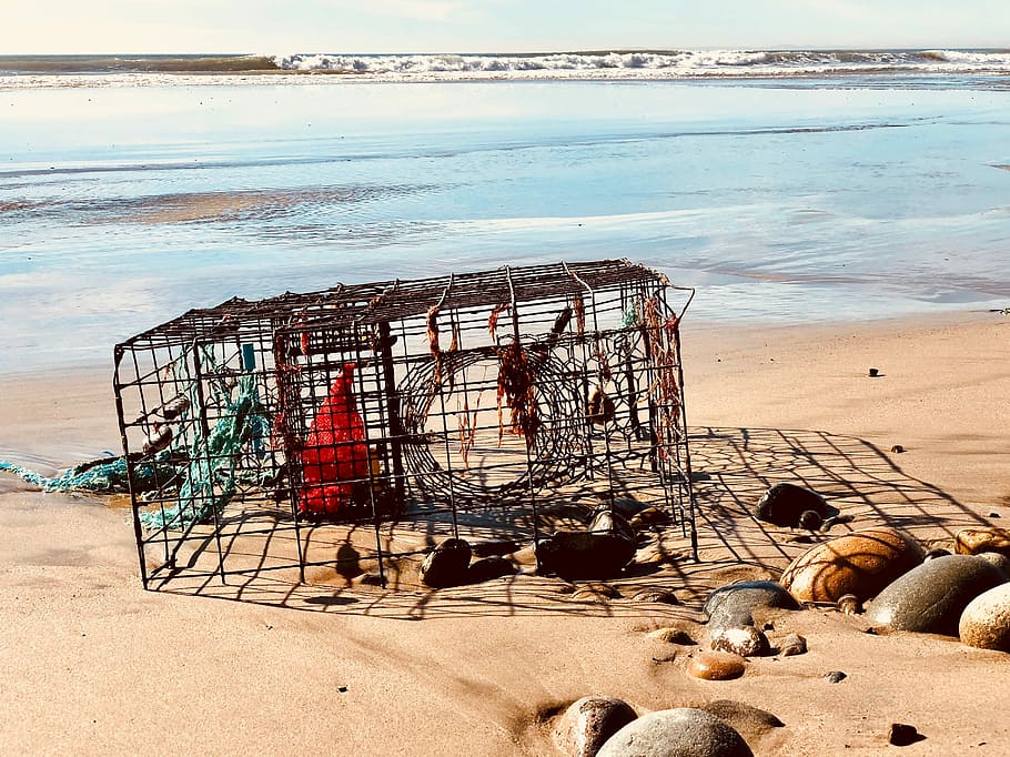 brown wire crab cage, black metal folding crate in coast line HD wallpaper