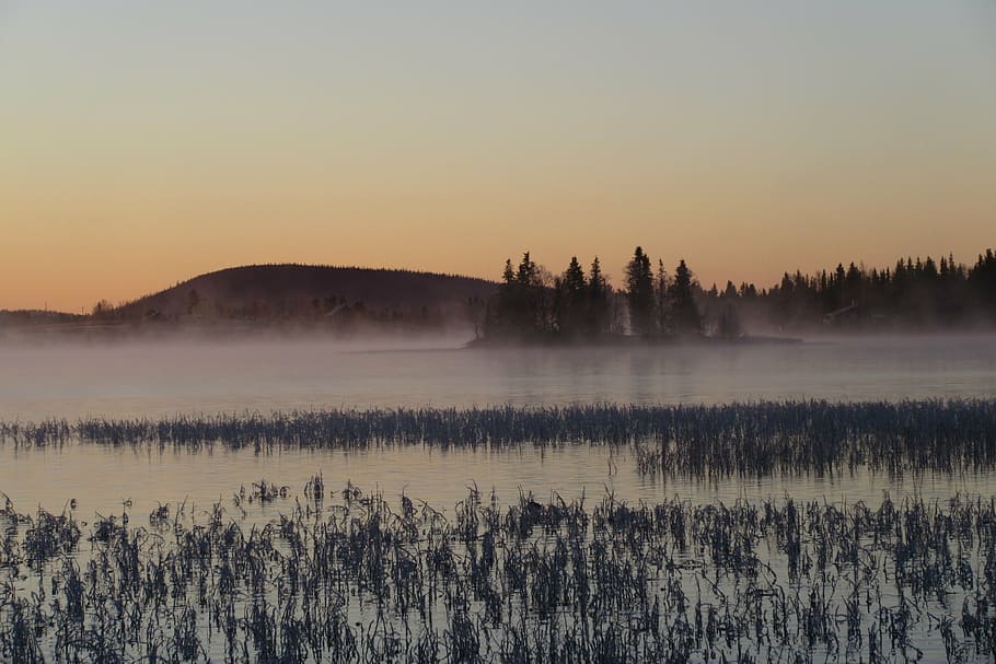 pyhäkielinen, winter, snow, sunset, landscapes, nature, mist HD wallpaper