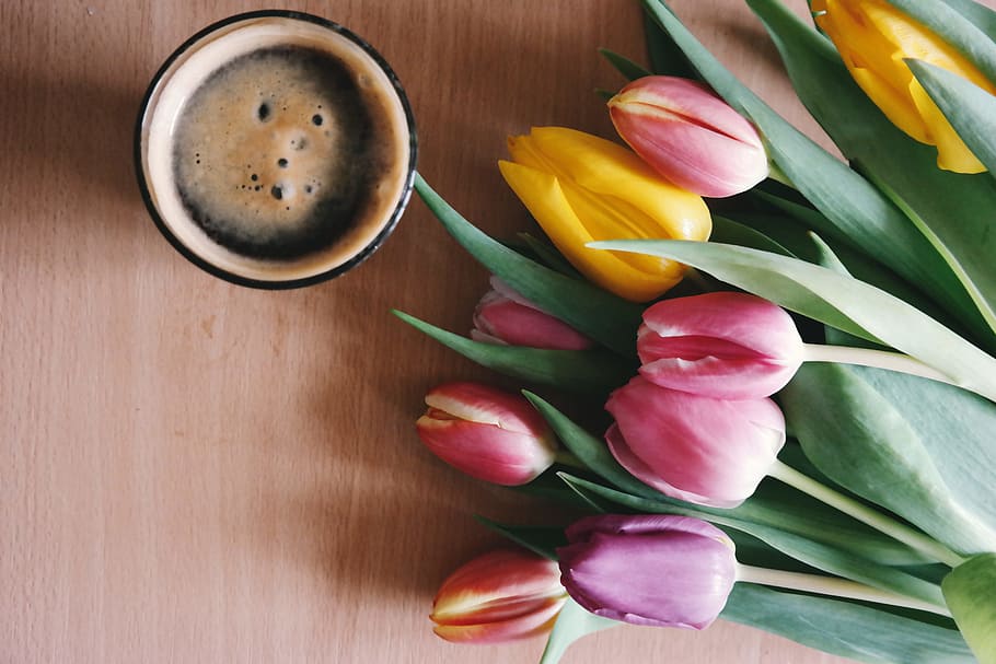 caffeine, coffee, cup, mug, bright, colors, cup of coffee, flora HD wallpaper