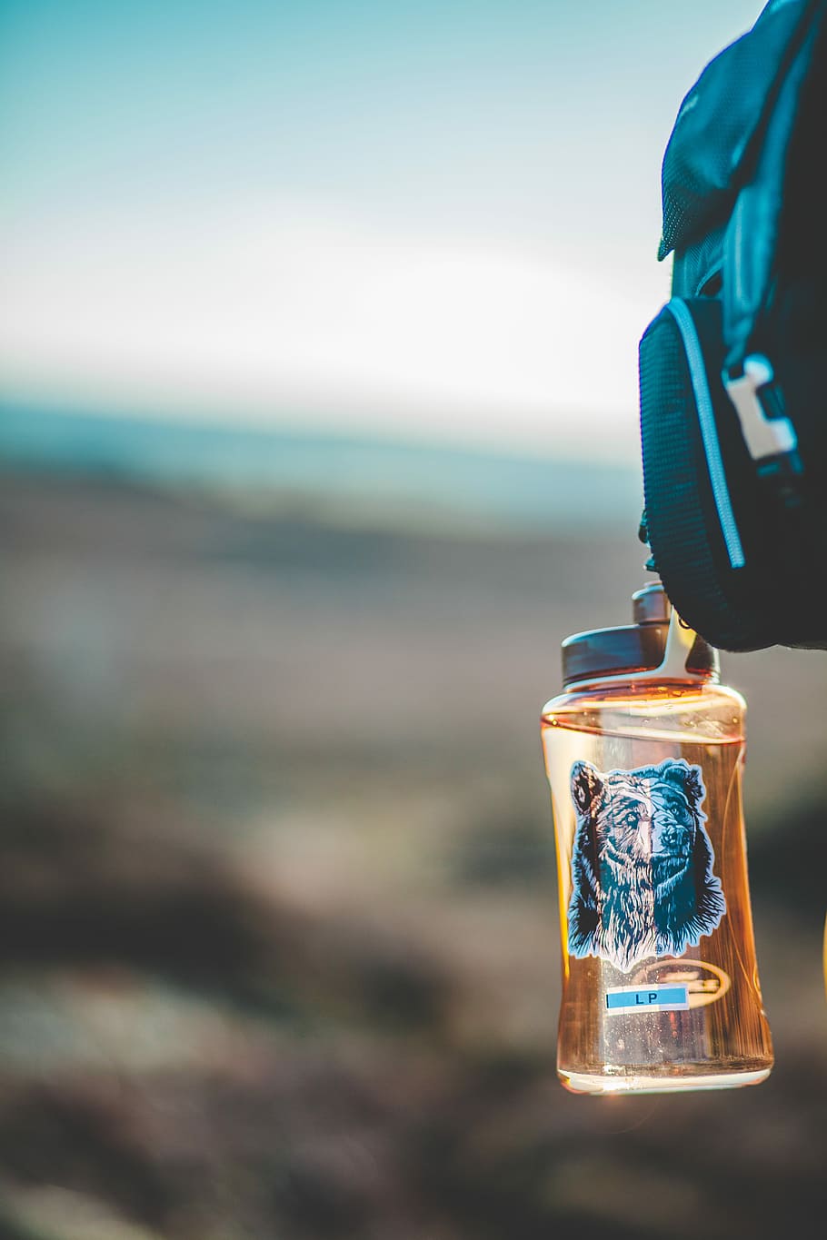 selective focus photo of brown plastic bottle, amber grizzly bear-printed sports bottle HD wallpaper