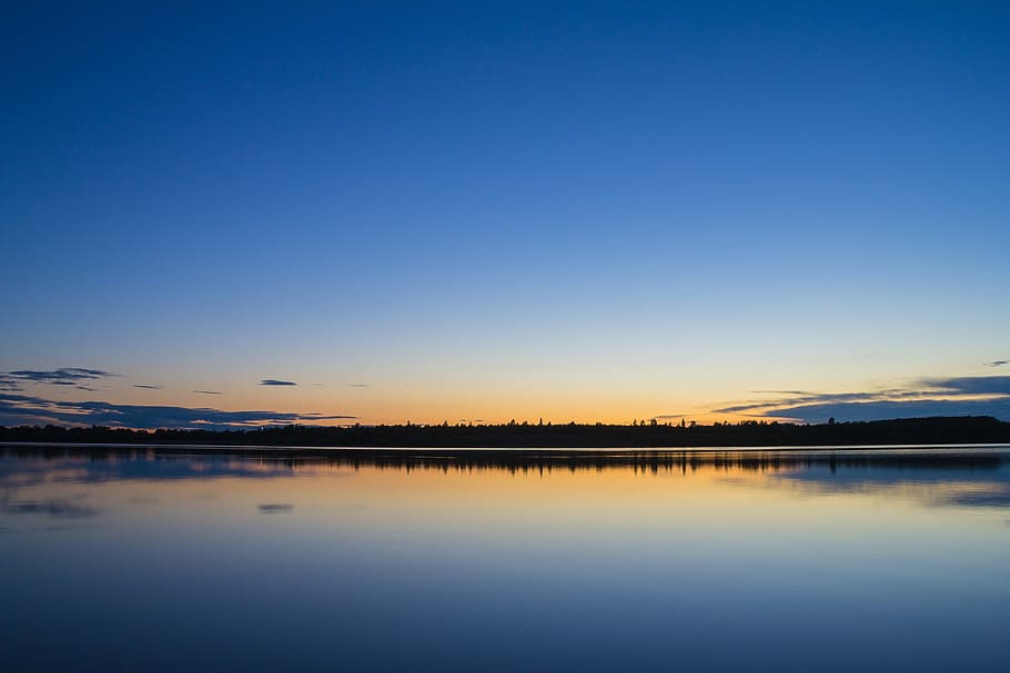 silhouette of trees during golden hour panoramic photo, blue HD wallpaper