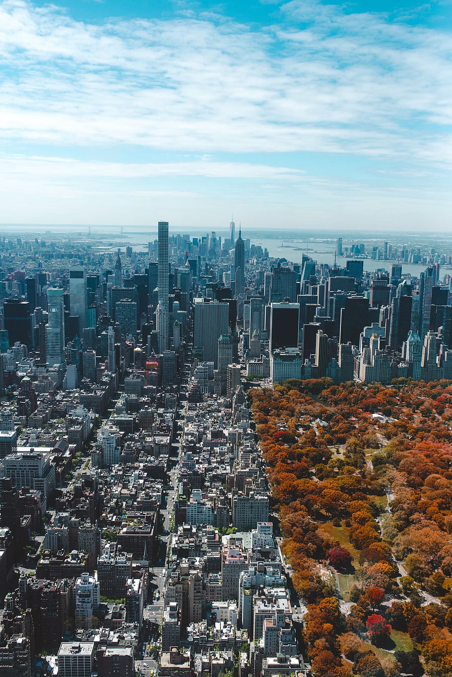 Central Park and New York City skyline during daytime, architecture, HD wallpaper