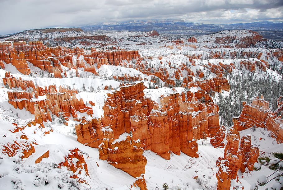 nature, mountain, park, bryce, winter, snow, cold temperature HD wallpaper