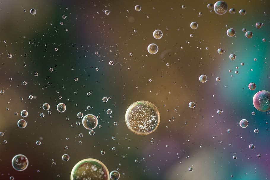 macro photography of water bubbles, oil in water, oil eye, liquid, HD wallpaper