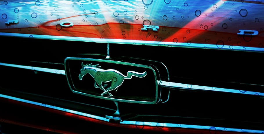 Ford Mustang, Automobile, car, vehicle, motor, logo, transportation, HD wallpaper