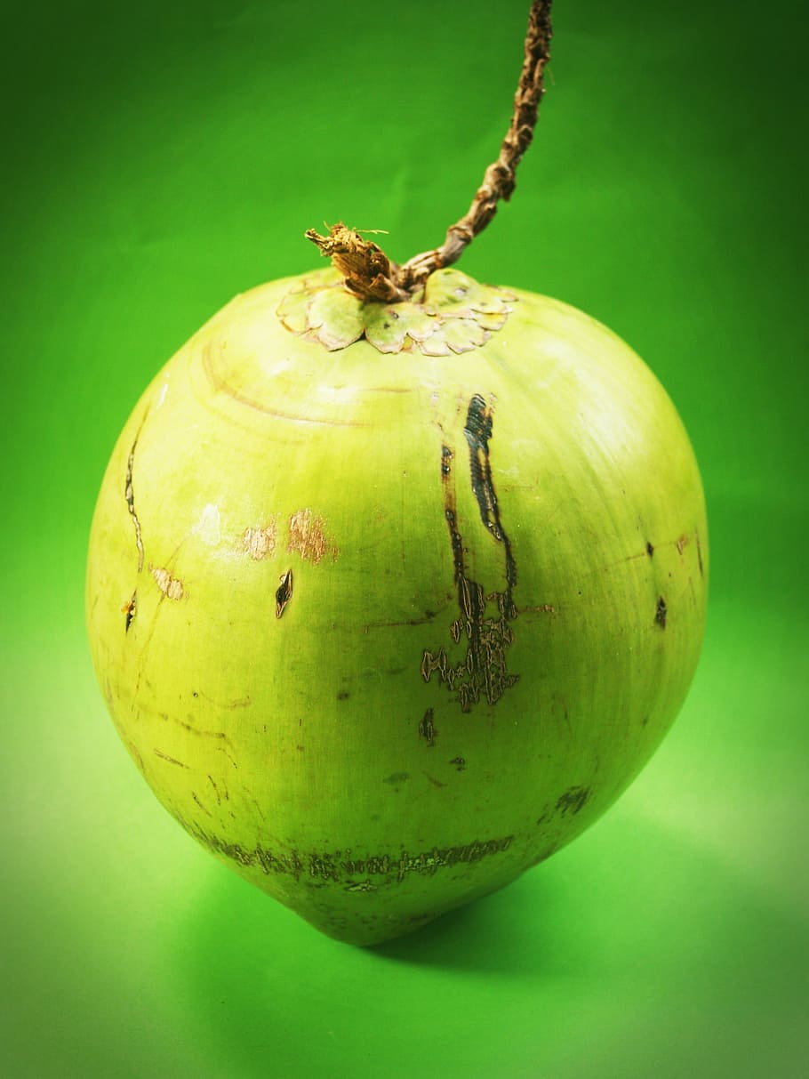 coconut, green, white, fruit, background, milk, fresh, health, HD wallpaper