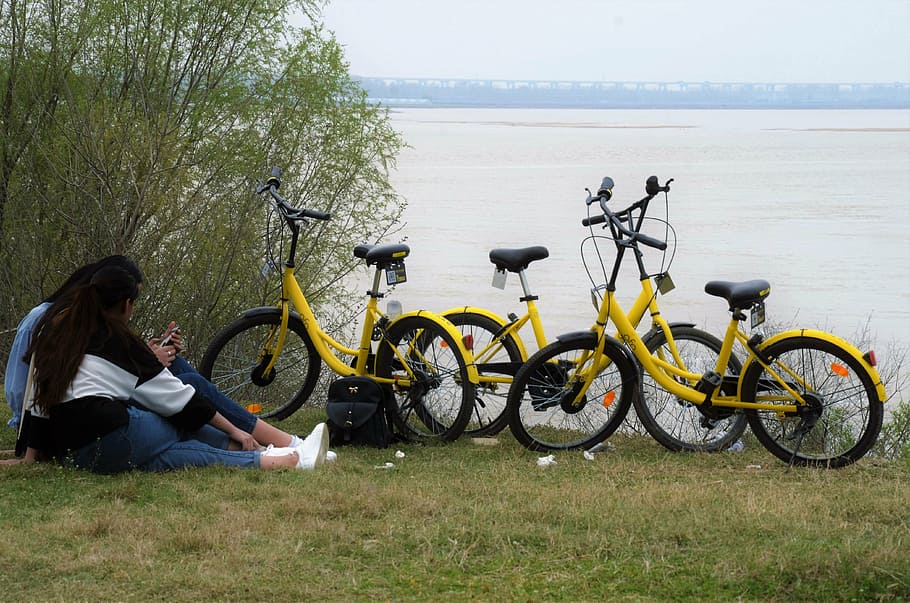 riverside, city, spring, bicycle, water, plant, grass, transportation HD wallpaper