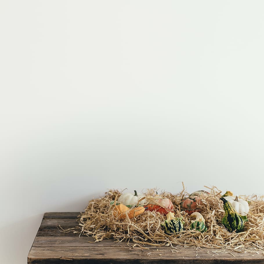 squash on wooden table, assorted, decors, pumpkins, halloween vegetable HD wallpaper