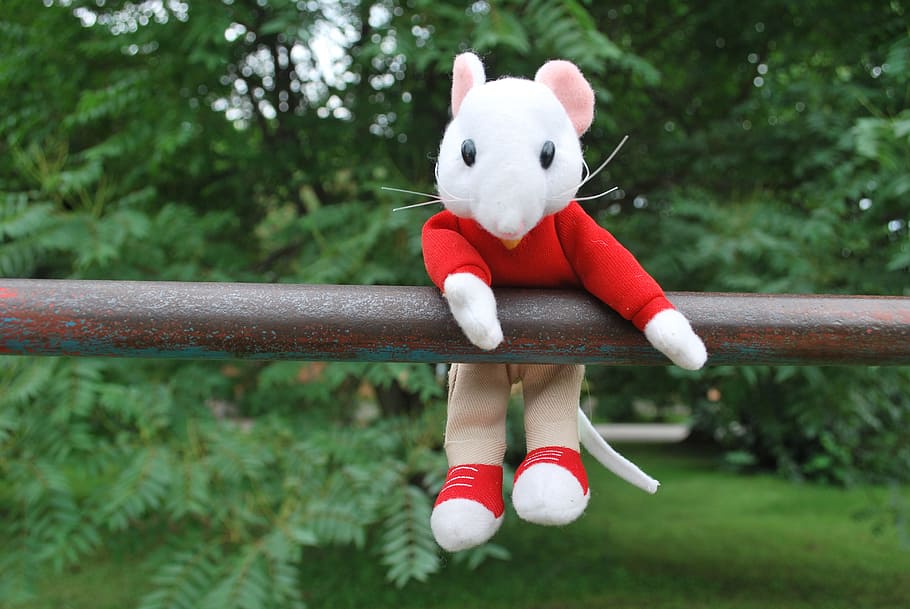mouse, toy, hanging, outside, nature, stuart, mammal, day, grass HD wallpaper