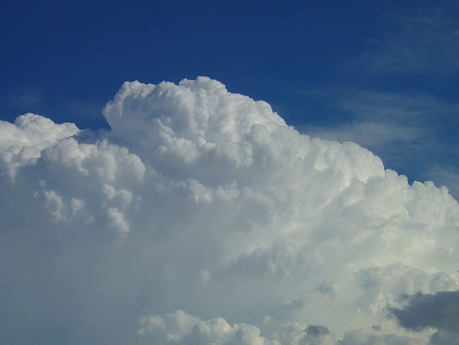 cloud, white, cotton, white cloud, storm, blue, nature, beauty HD wallpaper