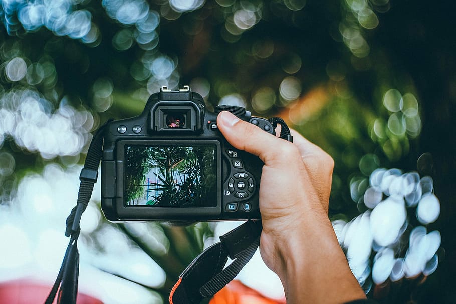 HD wallpaper: selective focus photography of person holding DSLR camera,  black