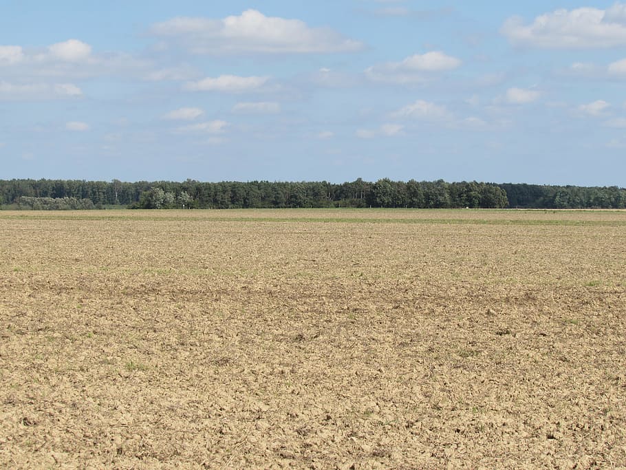 field, landscape, arable, nature, sky, environment, tranquil scene HD wallpaper