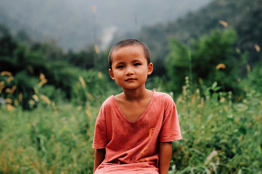 boy in red shirt sitting on grass, boy sittin near flowers, field