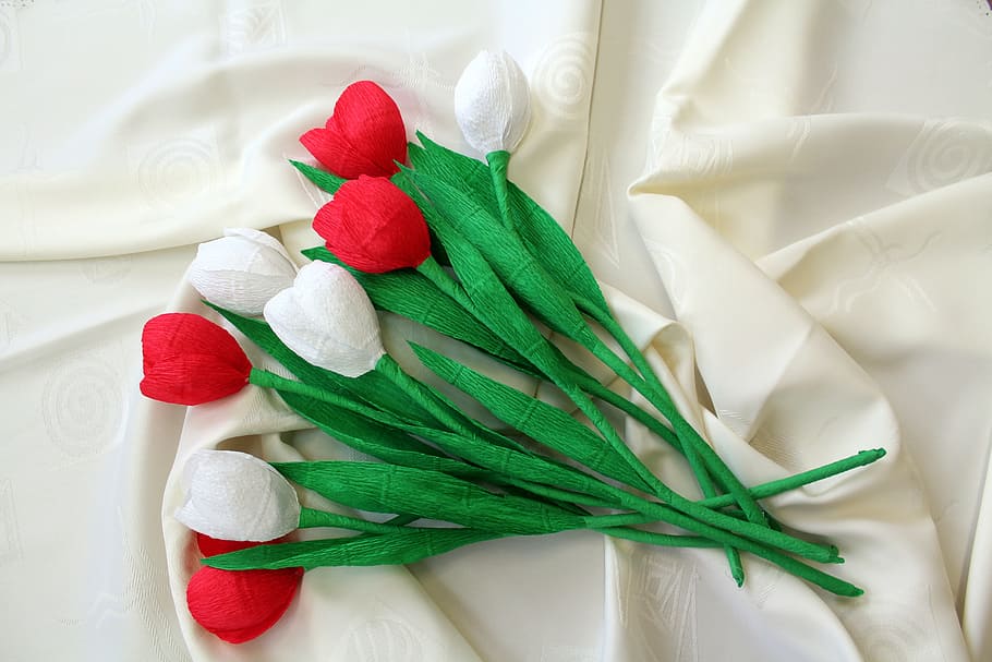 flowers, decoration, white - red, 11 nov, national colors, national day, HD wallpaper