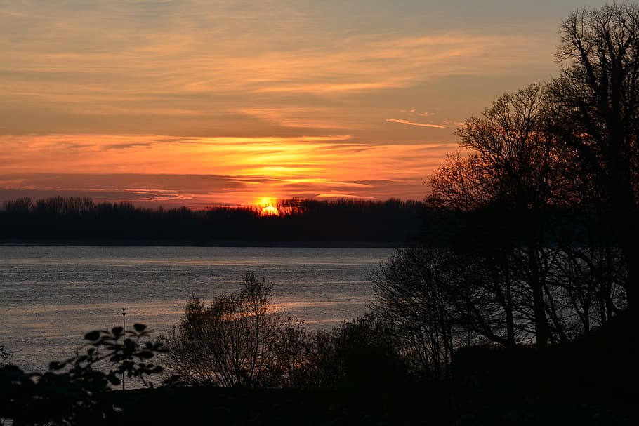 Sunset, Winter, Elbe, Trees, sky, landscape, cold, orange, evening sky HD wallpaper