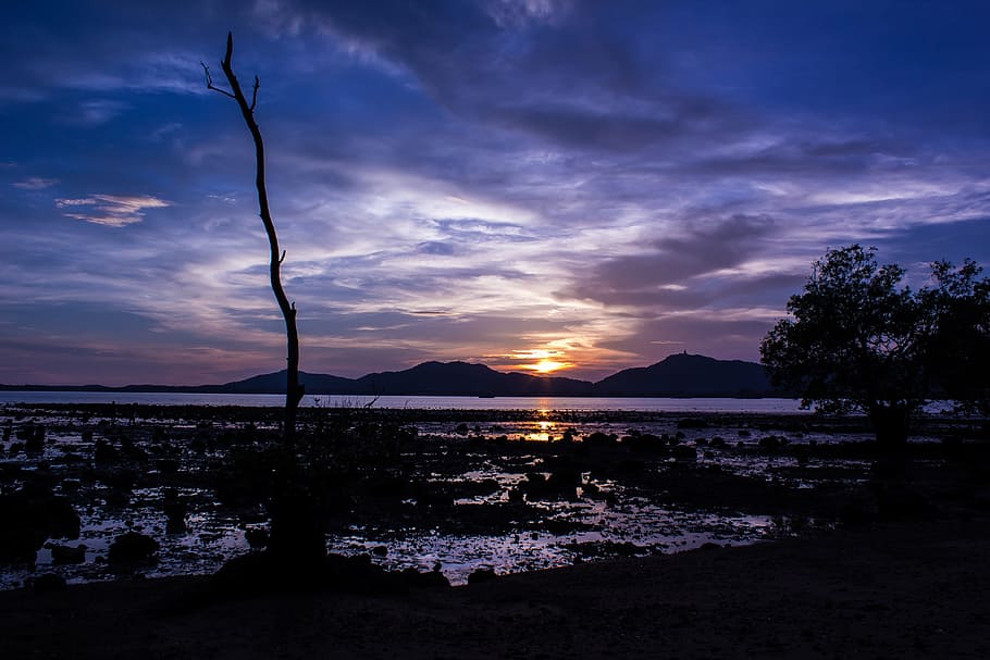 Coastline, Twilight, Dusk, Sunset, Ocean, sea, shore, nature HD wallpaper