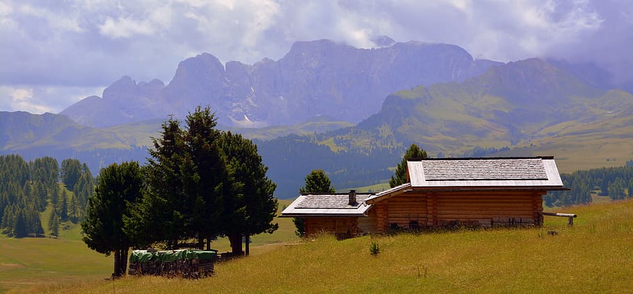 alm, prato, dolomites, house, mountain, italy, green, tree HD wallpaper