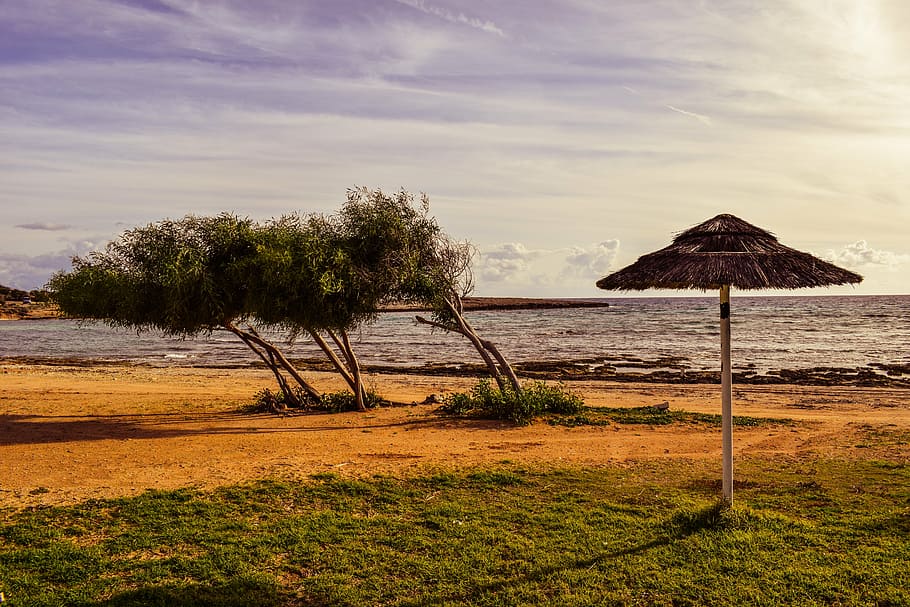 beach, trees, umbrella, empty, winter, scenery, makronissos HD wallpaper