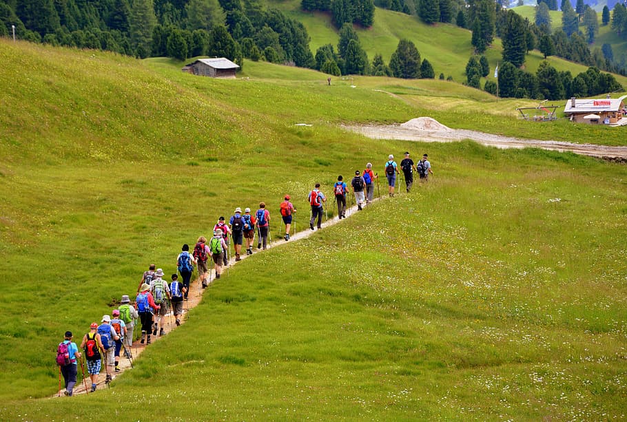 group of people walking on brown pathway in between of green grasses HD wallpaper