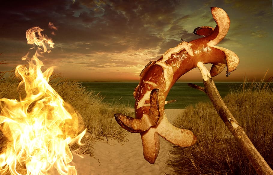 person cooking sausage, Insert, Barbecue, Fried, red, campfire HD wallpaper
