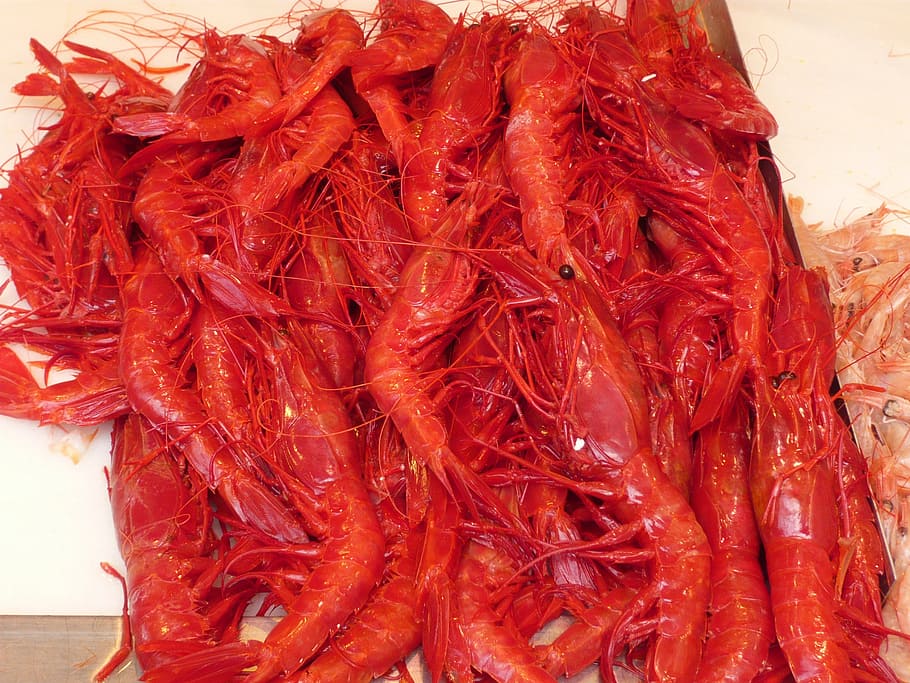 prawns, animals, sea, kitchen, seafood, fishing, food and drink HD wallpaper