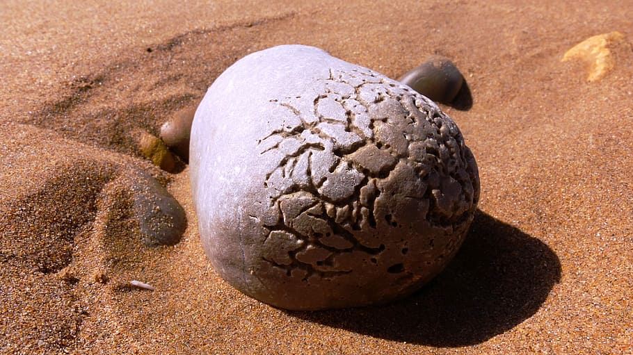 Sand, Ocean, Seaside, Morocco, pierre, nature, food and drink HD wallpaper