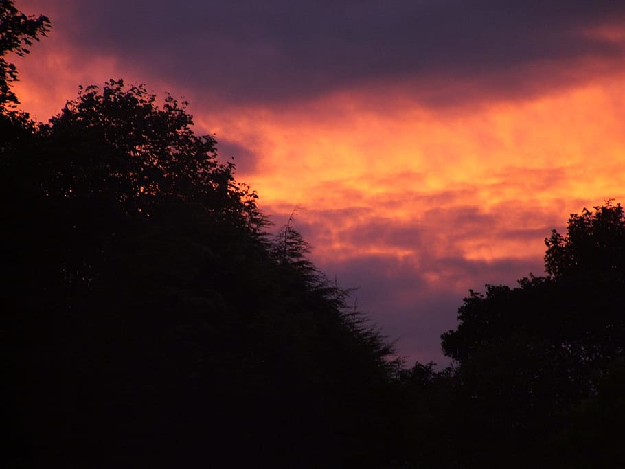 Sunset, Dark, Trees, Skies, Orange, sky, clouds, dusk, scenery HD wallpaper