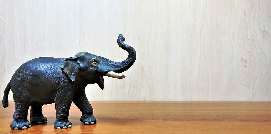 elephant, background, wallpaper, proboscis, lucky charm, plastic HD wallpaper