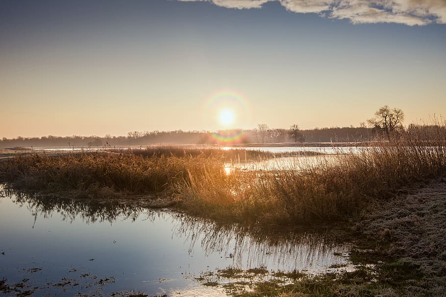 green grass near body of water, sunrise, river, mood, landscape HD wallpaper