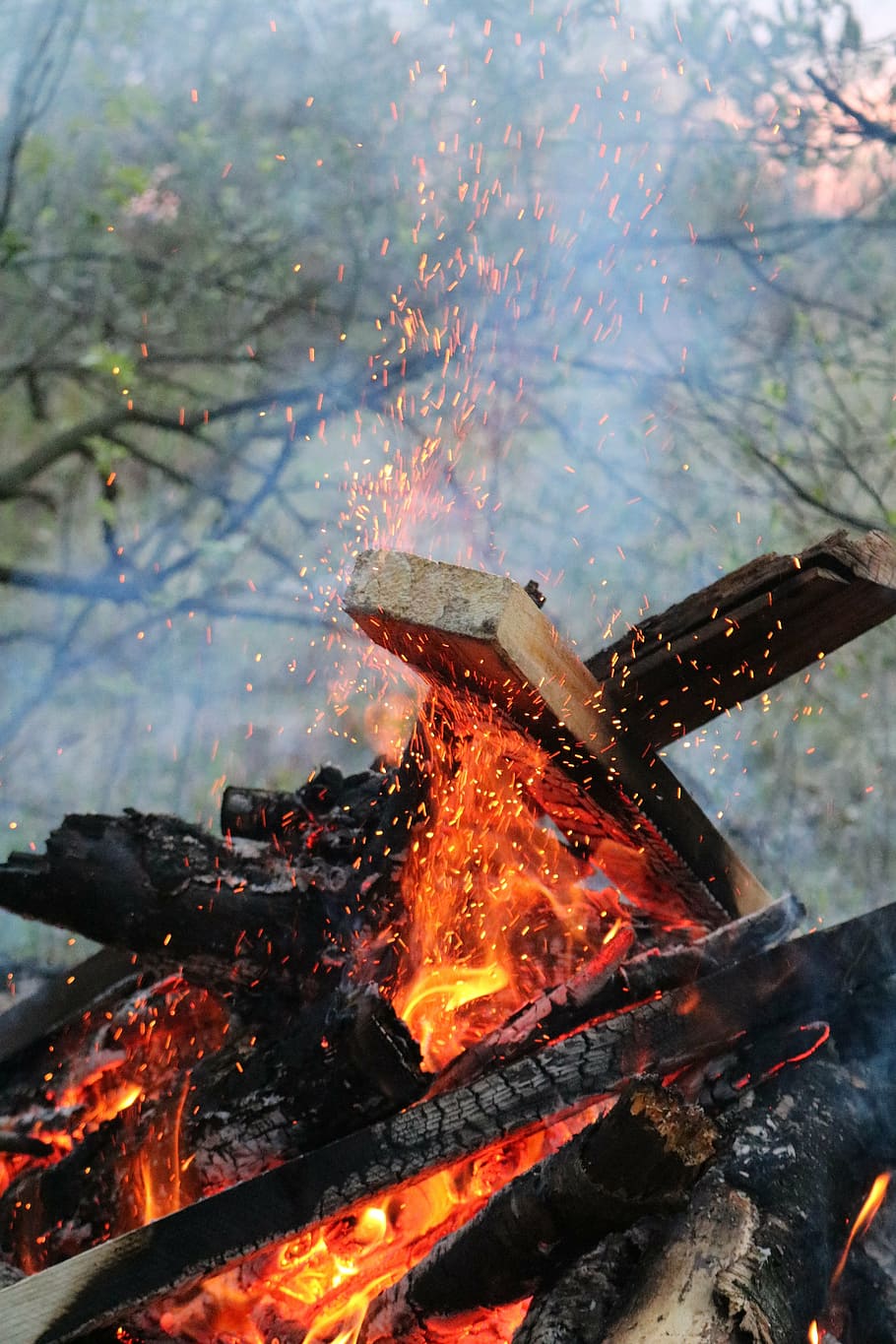 koster, spring, firewood, burns, spark, coals, flame, heat - temperature HD wallpaper