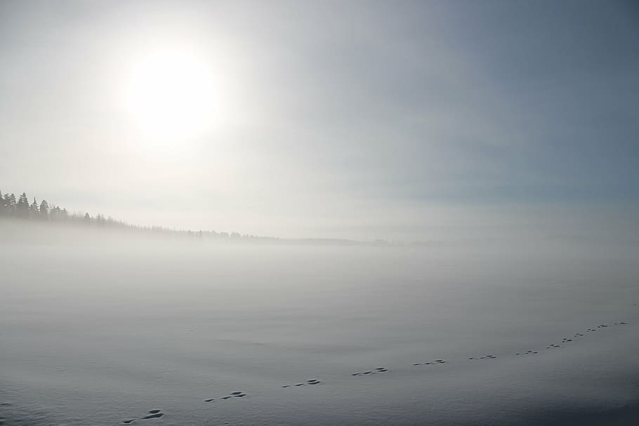 sun above dessert sand, winter, snow, field, sunlight, hare's trace HD wallpaper