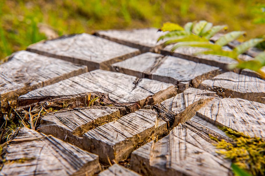 Background, Brown, District, Section, detail, timber, nature HD wallpaper