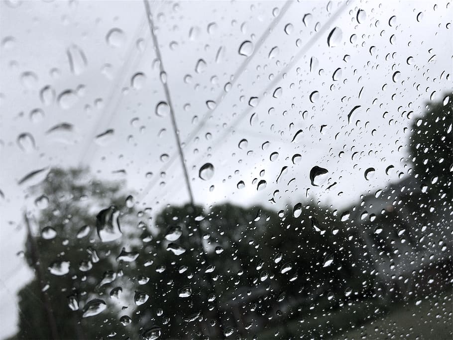 raining, drops, wet, glass - material, water, window, transparent HD wallpaper