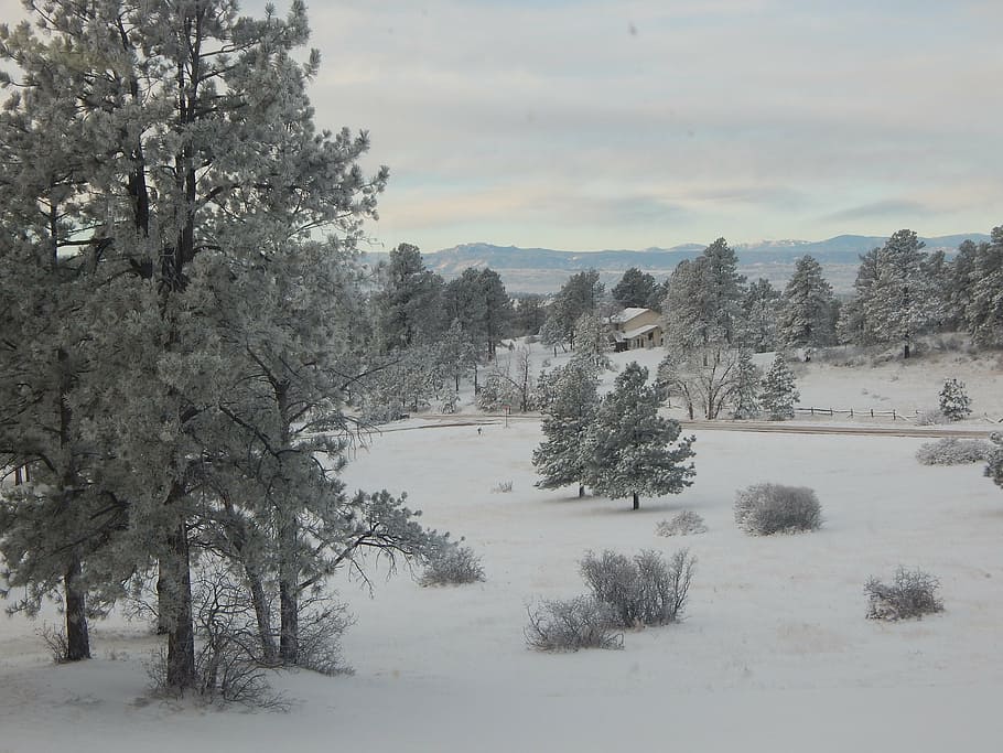 landscape, winter, snow, cold, white, nature, tree, outdoor HD wallpaper