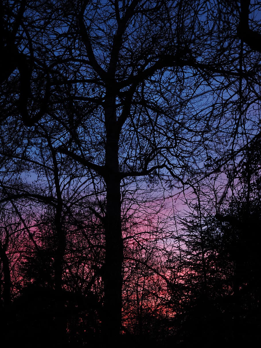 afterglow, evening, abendstimmung, sunset, evening sky, red, HD wallpaper