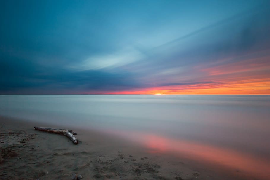 beach photo, landscape photography of drift wood on seashore during golden hour HD wallpaper