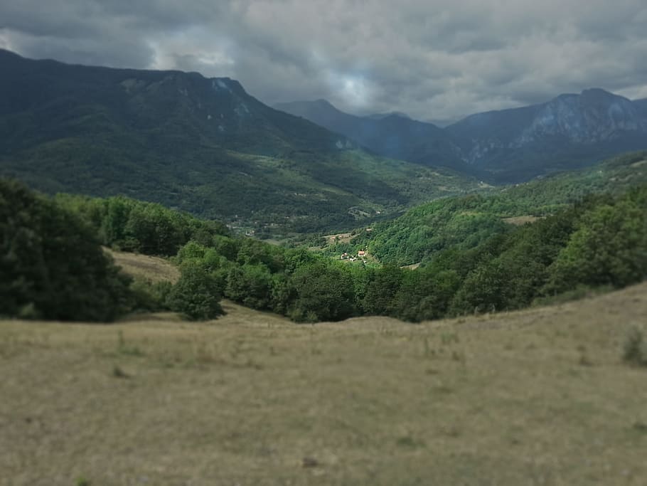 green trees at the mountain, mountain with trees, foot, landscape HD wallpaper