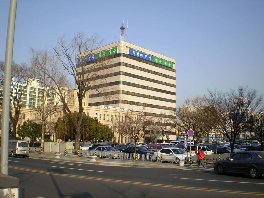 Daegu City Hall in South Korea, building, photos, government, HD wallpaper