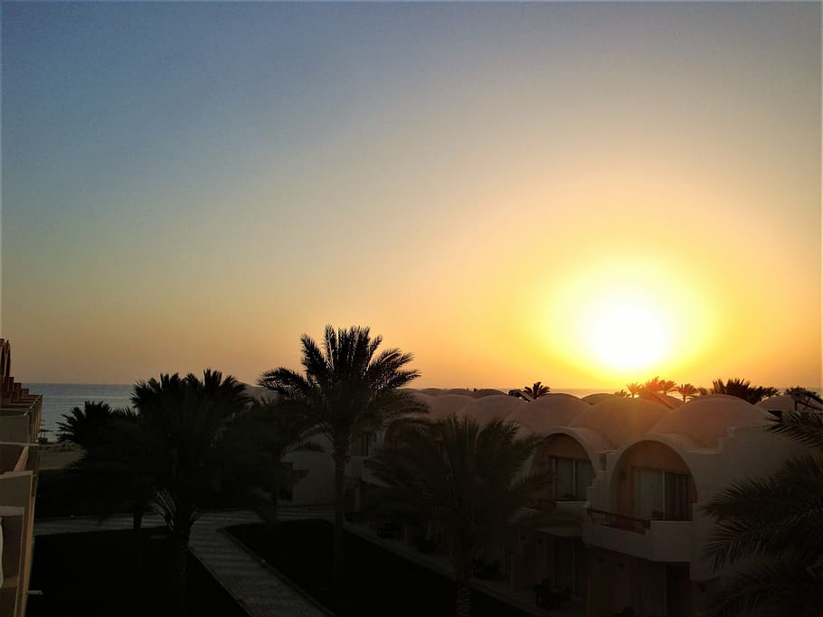 Sunset, Palm Trees, Dome, dusk, sky, vacations, outdoors, sea HD wallpaper