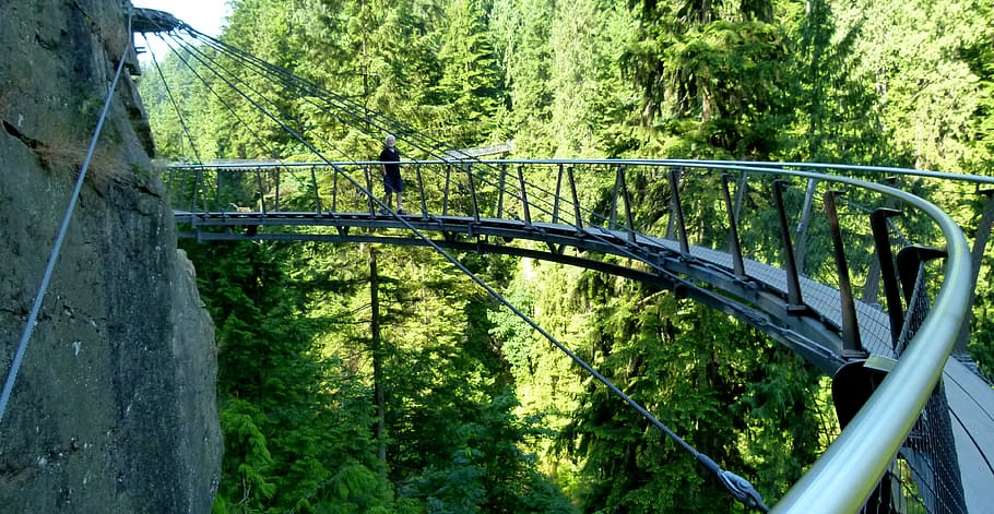 person walking on bridge, capilano, cliffwalk, vancouver, british columbia, HD wallpaper