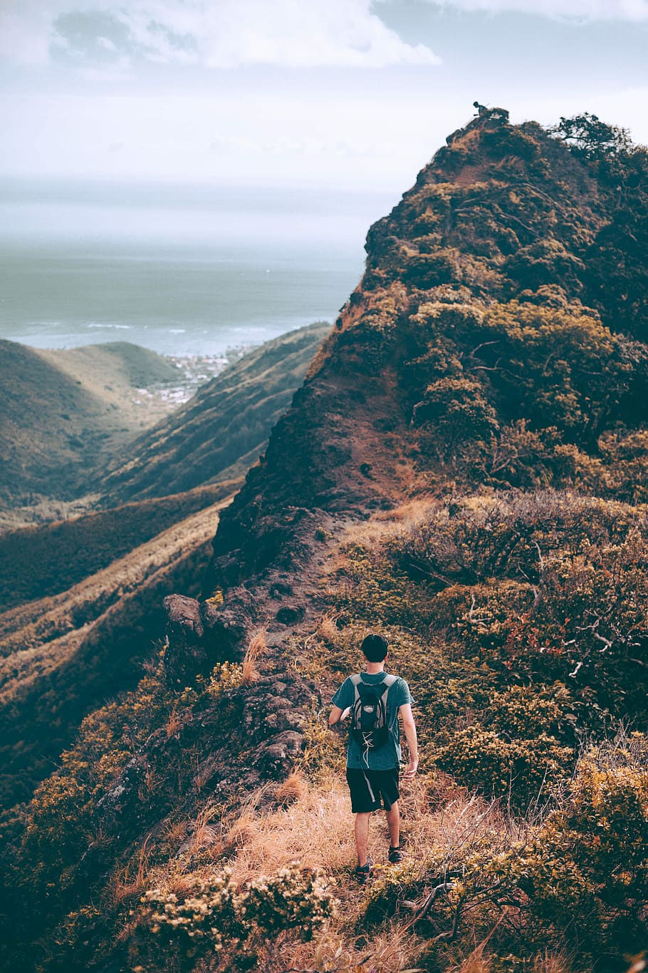 man standing on brown grass on top of the mountain during daytime, person walking toward hill during dayitme HD wallpaper