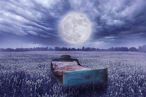 brown bed frame on the field with full moon, meadow, good night HD wallpaper
