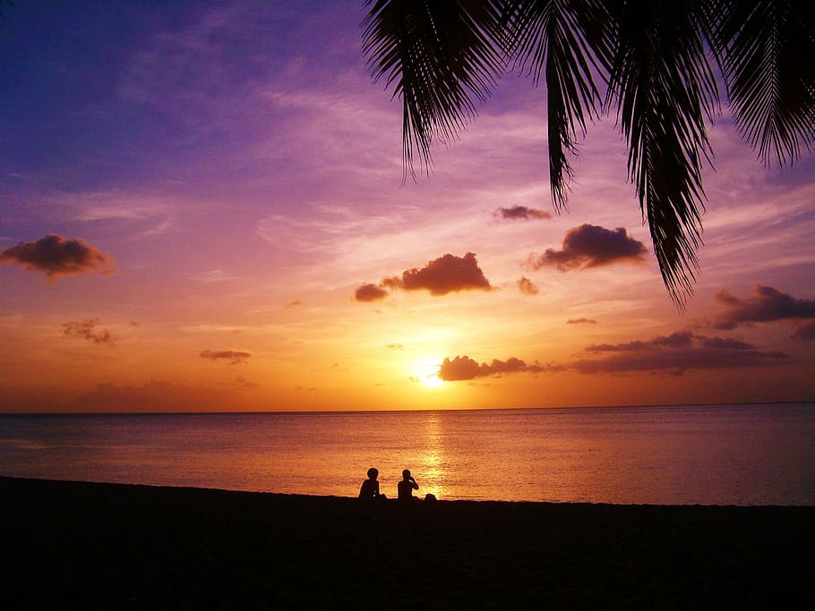 sunset, beach, guadeloupe, sea, evening, palm, light and shade, HD wallpaper