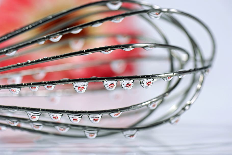 selective focus photo of gray whisk, drip, macro, blossom, bloom HD wallpaper