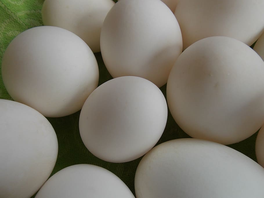 eggs, green, shells, duck eggs, easter, nature, food, full frame HD wallpaper