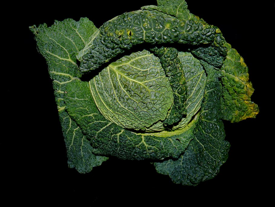 savoy, kohl, autumn, stew, vegetables, green leaves, food, savoy cabbage, HD wallpaper
