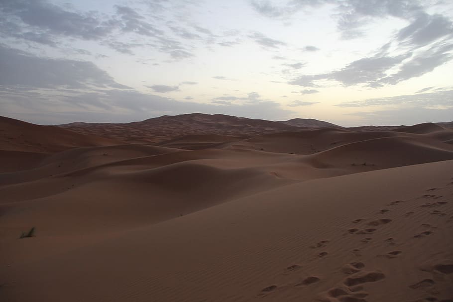 Desert, Sahara, Moroccan, scenics, nature, landscape, sand HD wallpaper