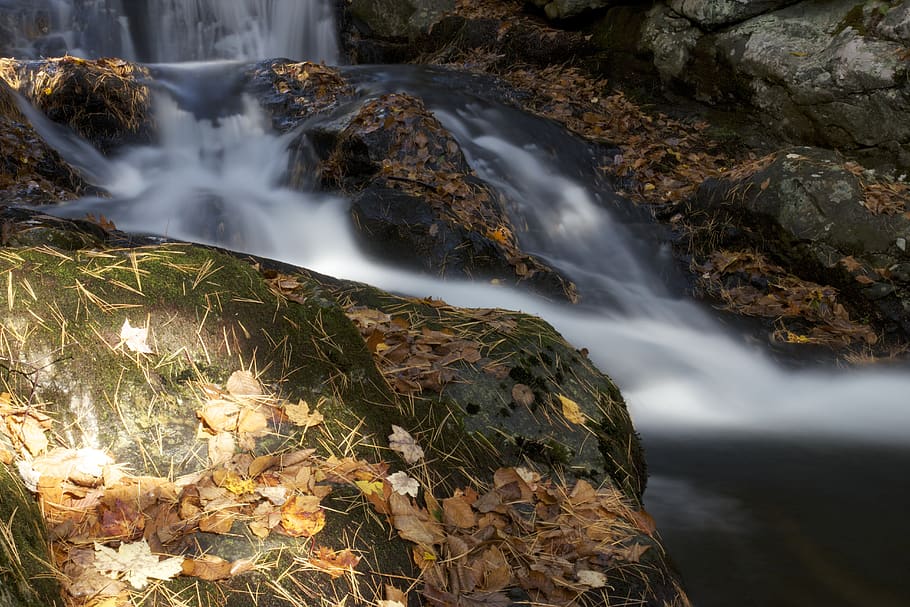 stream, flow, water, motion, flowing, nature, wet, landscape HD wallpaper